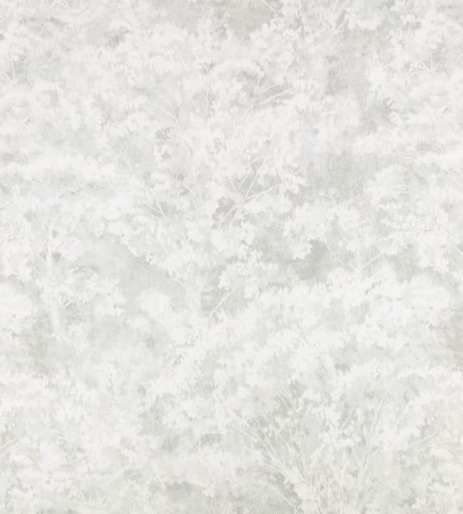 Sikora Sheer Fabric by Romo Lovat