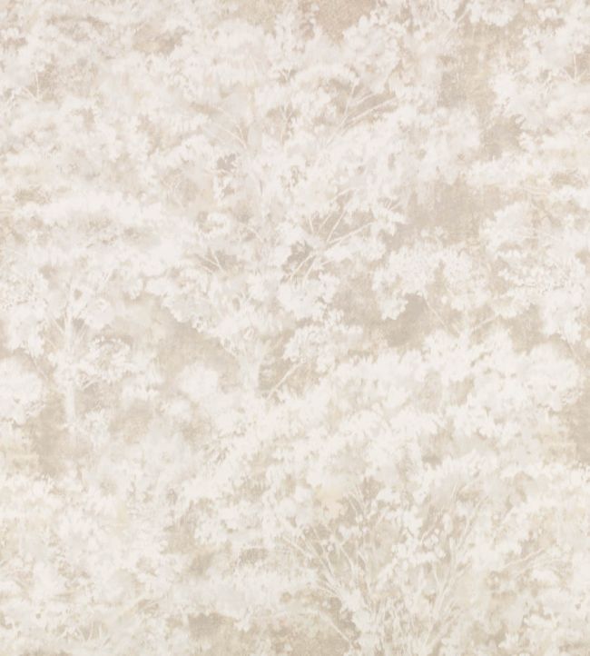 Sikora Sheer Fabric by Romo Stone