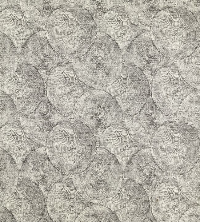 Silvan Fabric by Clarke & Clarke Charcoal