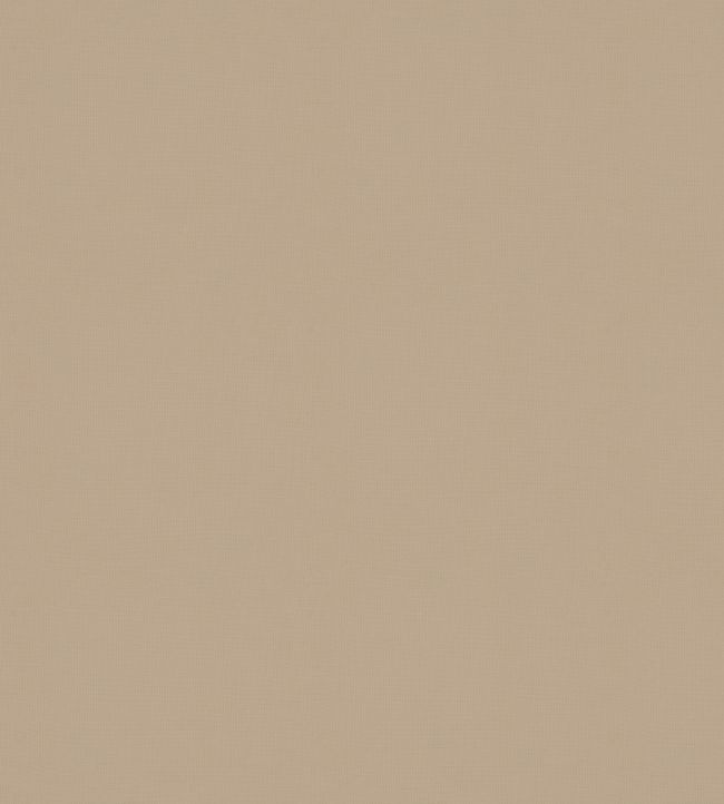 Sirocco Fabric by Warwick Dune