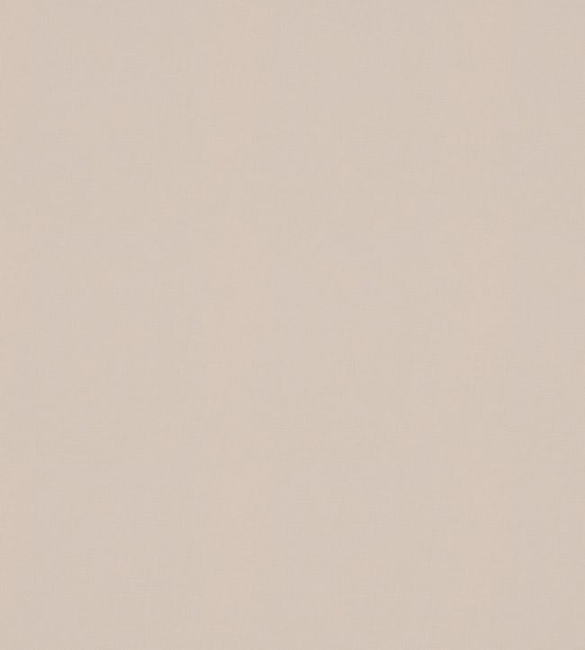 Sirocco Fabric by Warwick Oyster