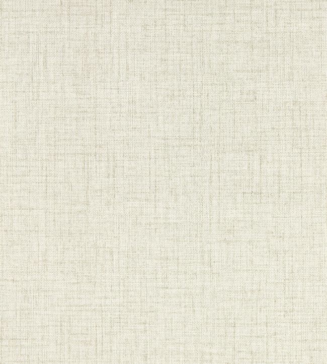 Sirpo Wallpaper by Clarke & Clarke Ash