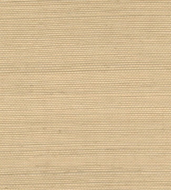 Sisal Wallpaper by Elitis A son apogee