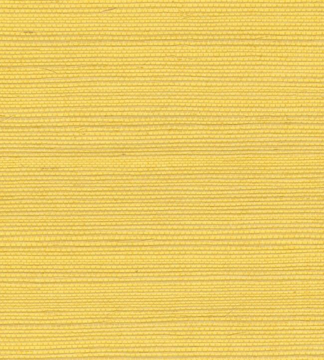 Sisal Wallpaper by Elitis Energie solaire