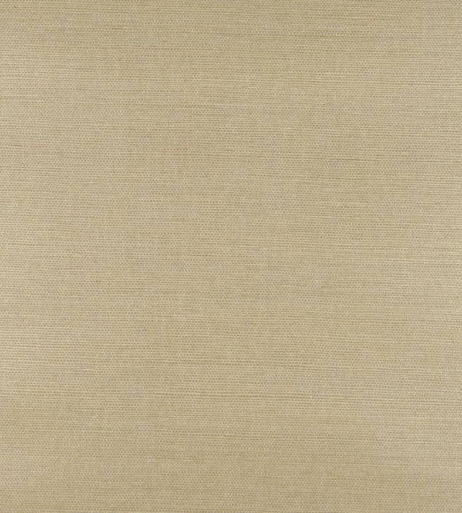 Sisal Wallpaper by Nobilis Champagne
