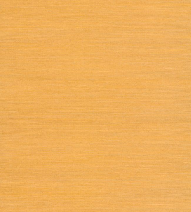 Sisal Wallpaper by Nobilis Pale Orange