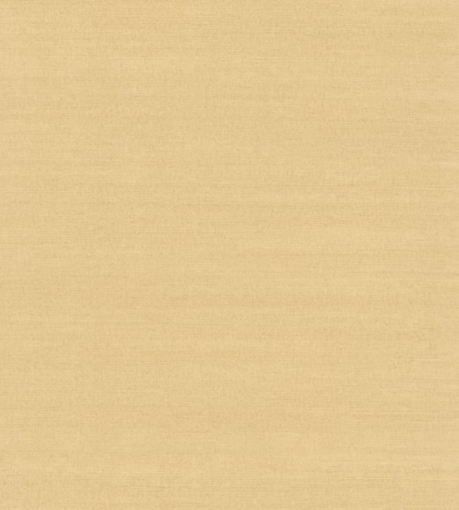 Sisal Wallpaper by Nobilis Pale Sand