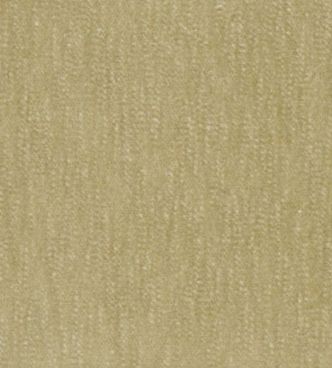 Slub Velvet Fabric by JORO J6-Beige