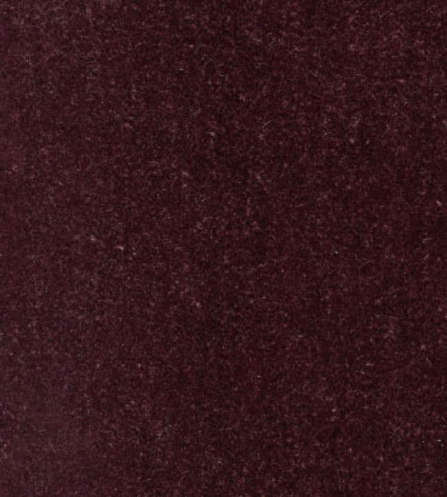 Slub Velvet Fabric by JORO R7-Plum