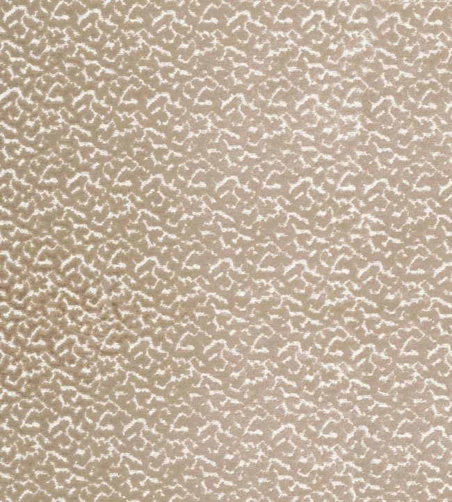 Smooth Fabric by Camengo Chamois