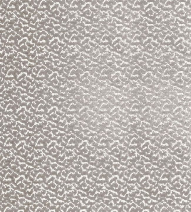 Smooth Fabric by Camengo Taupe