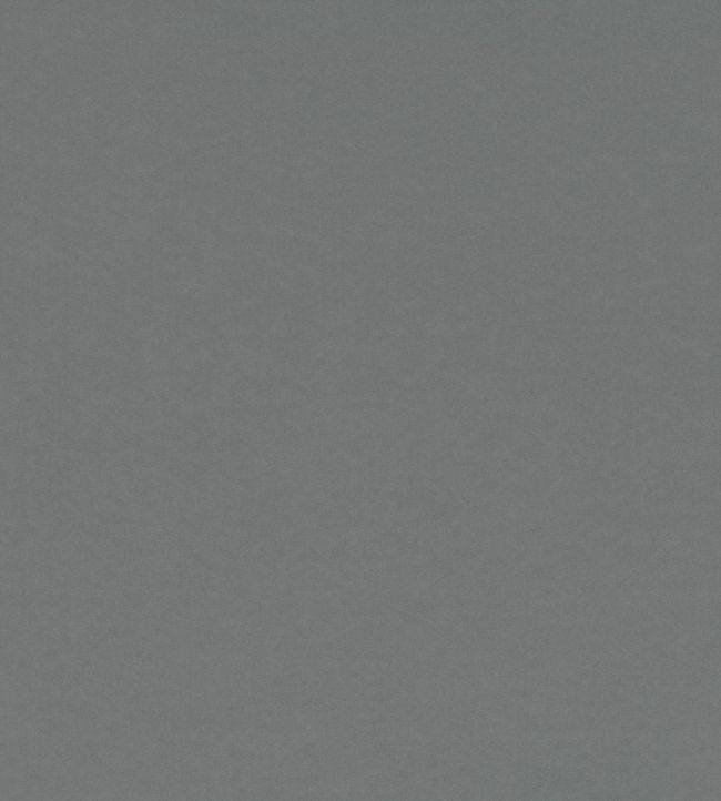 Smooth III Fabric by Kirkby Design Ash