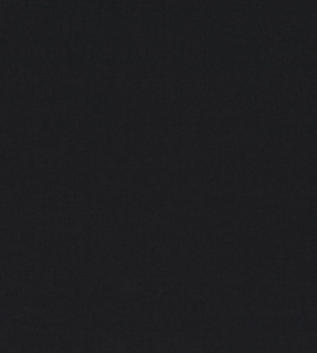 Smooth III Fabric by Kirkby Design Ebony