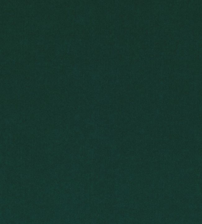 Smooth III Fabric by Kirkby Design Evergreen