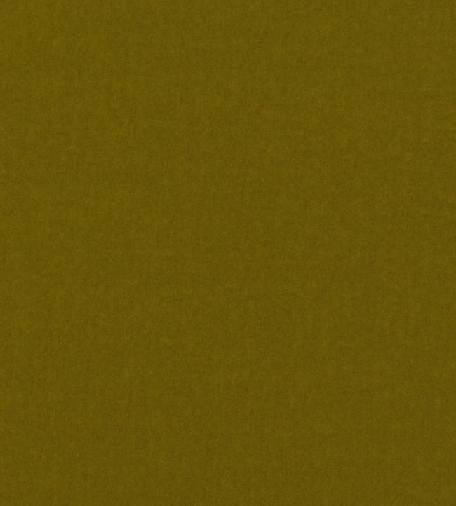Smooth III Fabric by Kirkby Design Fern