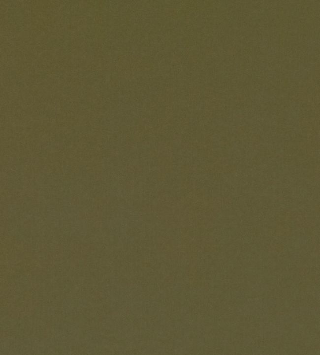 Smooth III Fabric by Kirkby Design Olive