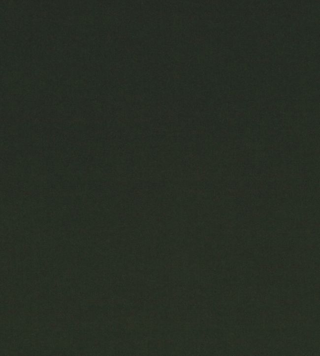 Smooth III Fabric by Kirkby Design Pine Green