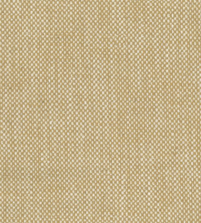 Snicket Fabric by Nina Campbell Yellow