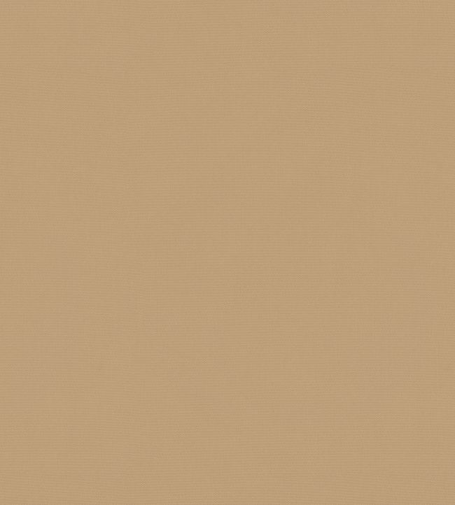 Solaire Fabric by Warwick Camel