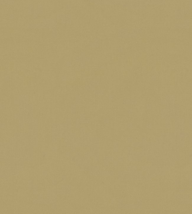 Solaire Fabric by Warwick Citrus