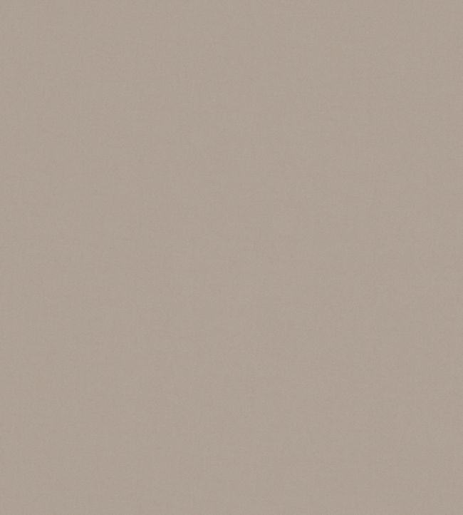 Solaire Fabric by Warwick Coconut
