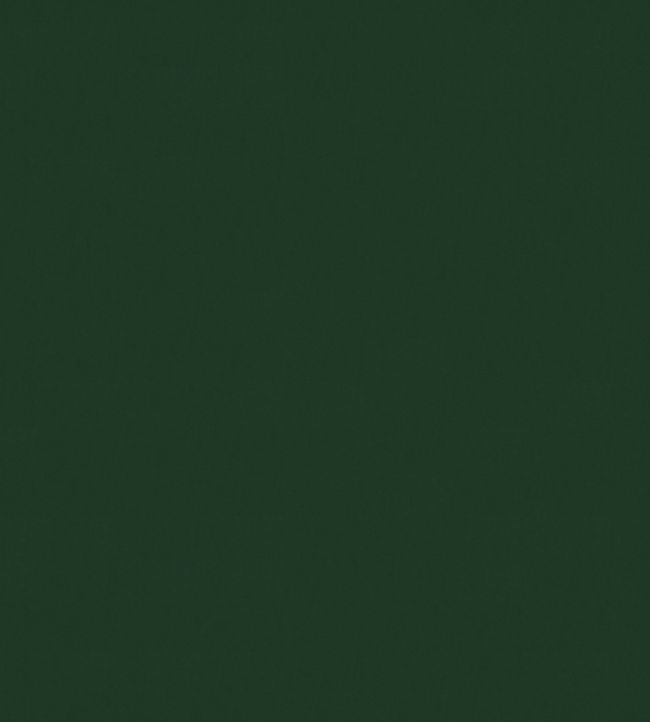 Solaire Fabric by Warwick Evergreen