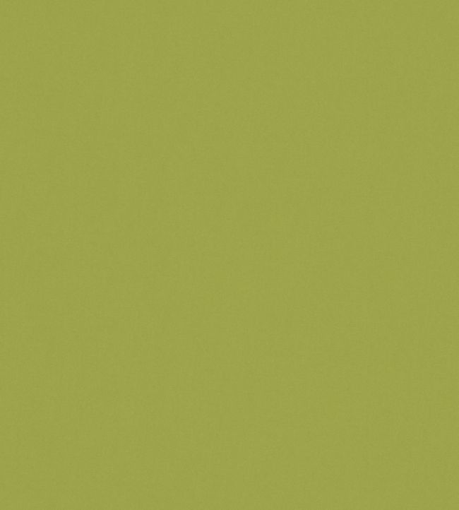 Solaire Fabric by Warwick Lime