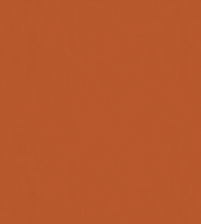 Solaire Fabric by Warwick Mandarin