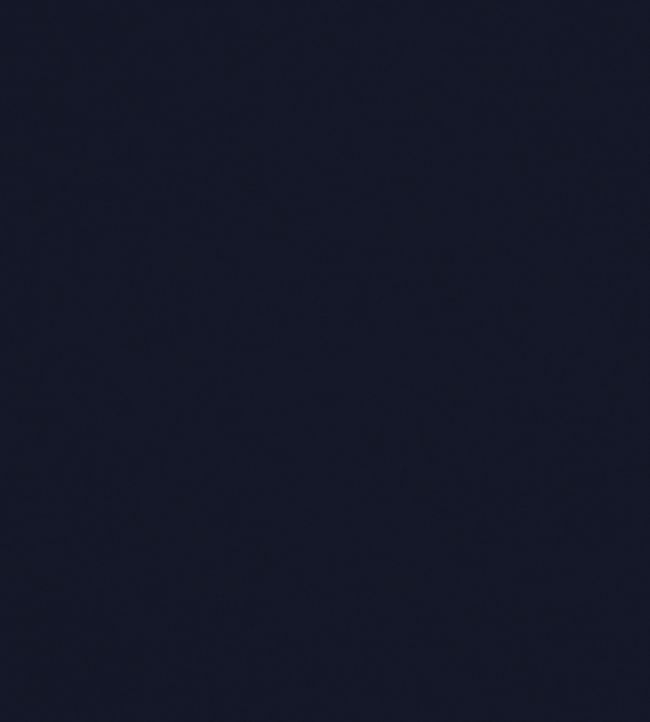 Solaire Fabric by Warwick Navy