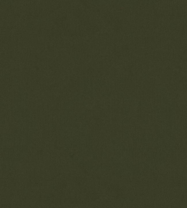 Solaire Fabric by Warwick Seaweed