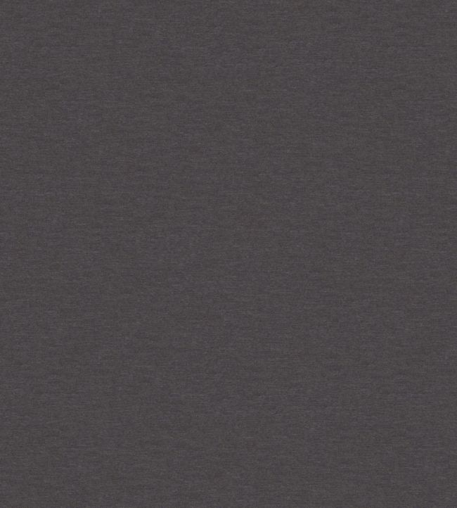 Solaire Fabric by Warwick Slate