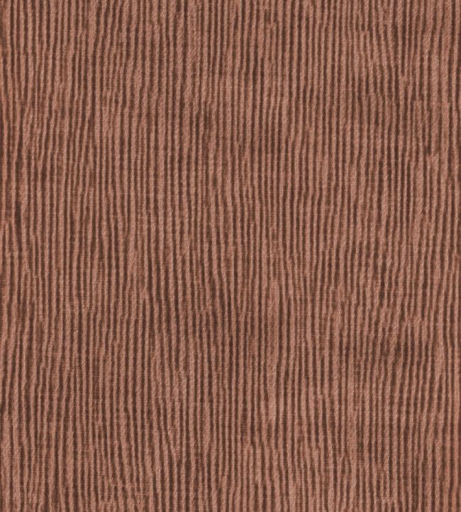 Solara Fabric by Wemyss Coral