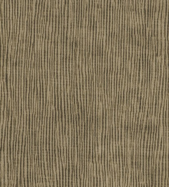 Solara Fabric by Wemyss Gold