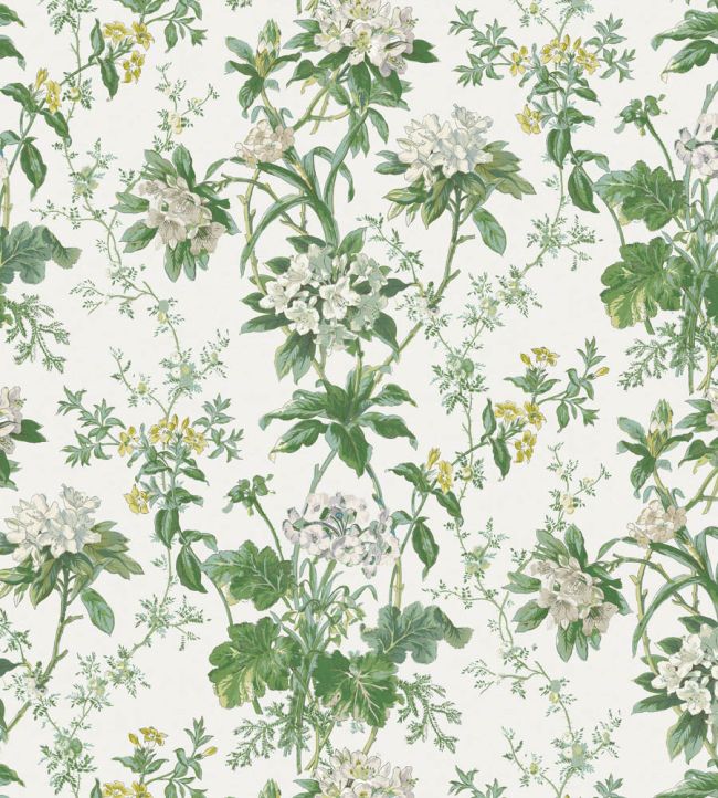 Somerhill Fabric by Nina Campbell Green/White/Chartreuse