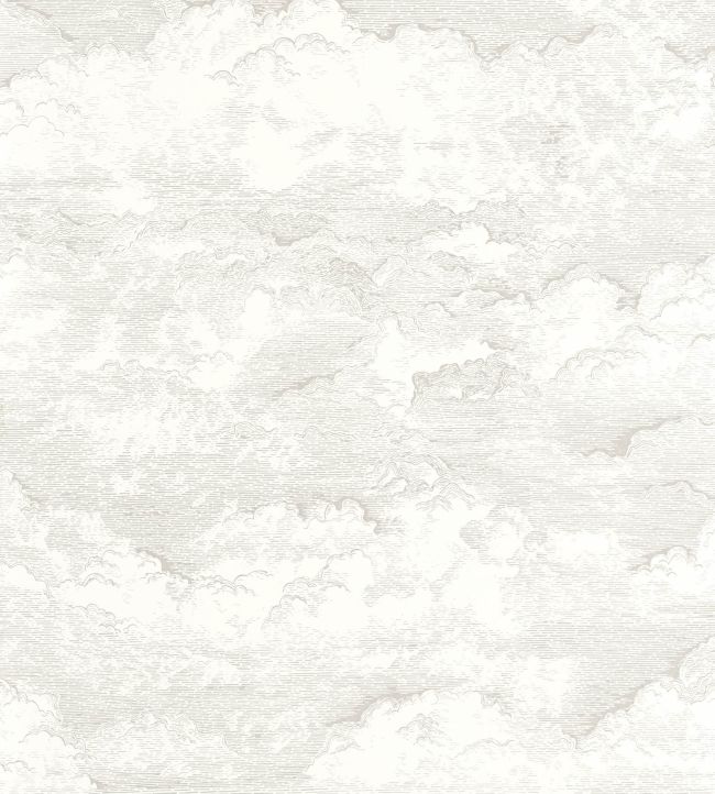 Songe Wallpaper by Casadeco Blanc Coton