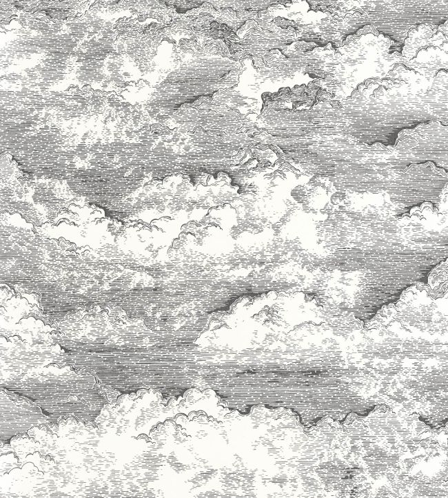 Songe Wallpaper by Casadeco Noir Gravure