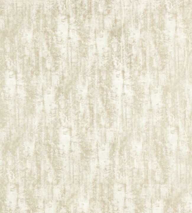Sontuoso Fabric by Clarke & Clarke Ivory