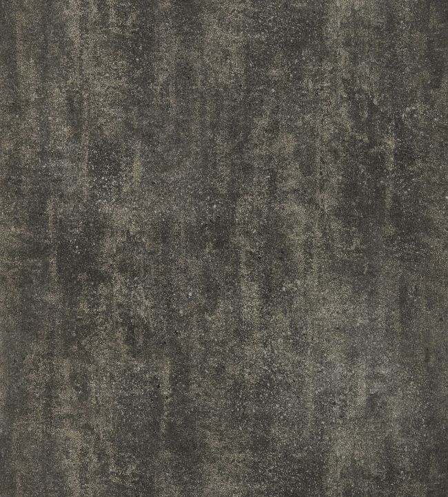 Sontuoso Wallpaper by Clarke & Clarke Noir