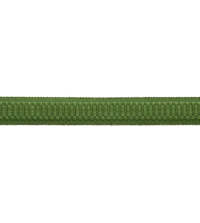 Sophie Border Trimming by Samuel & Sons Basil
