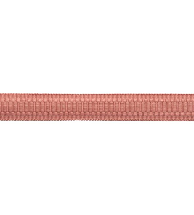 Sophie Border Trimming by Samuel & Sons Rose Water
