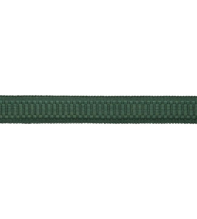 Sophie Border Trimming by Samuel & Sons Viridian Green