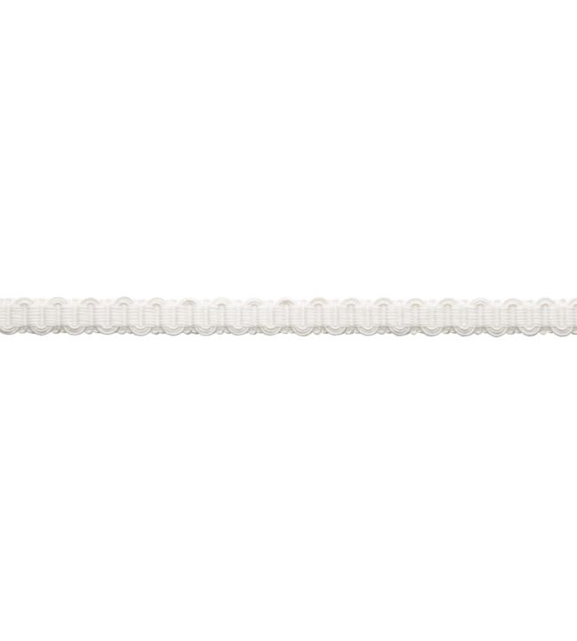 Sophie Gimp Trimming by Samuel & Sons Salt
