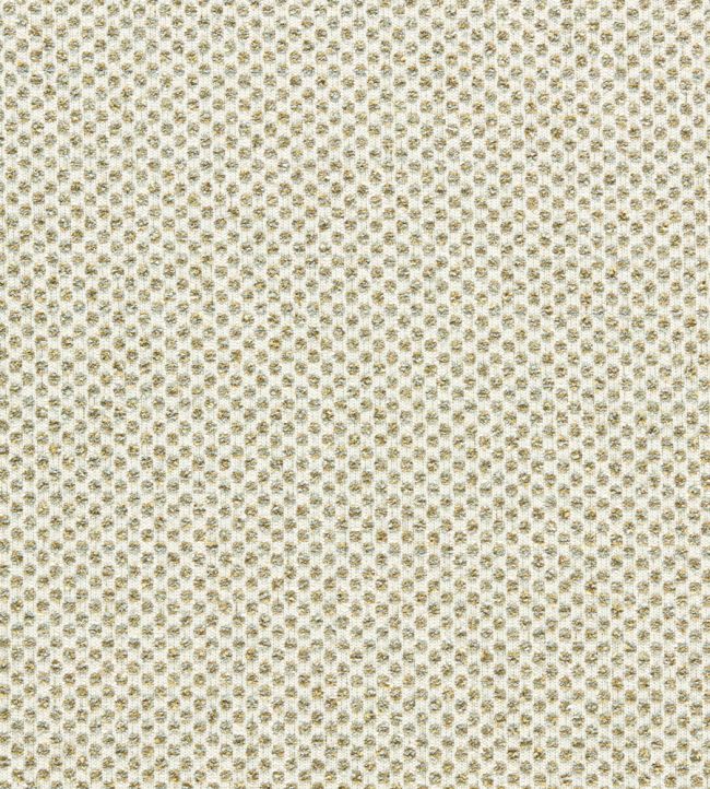 Sotano Fabric by Clarke & Clarke Palm