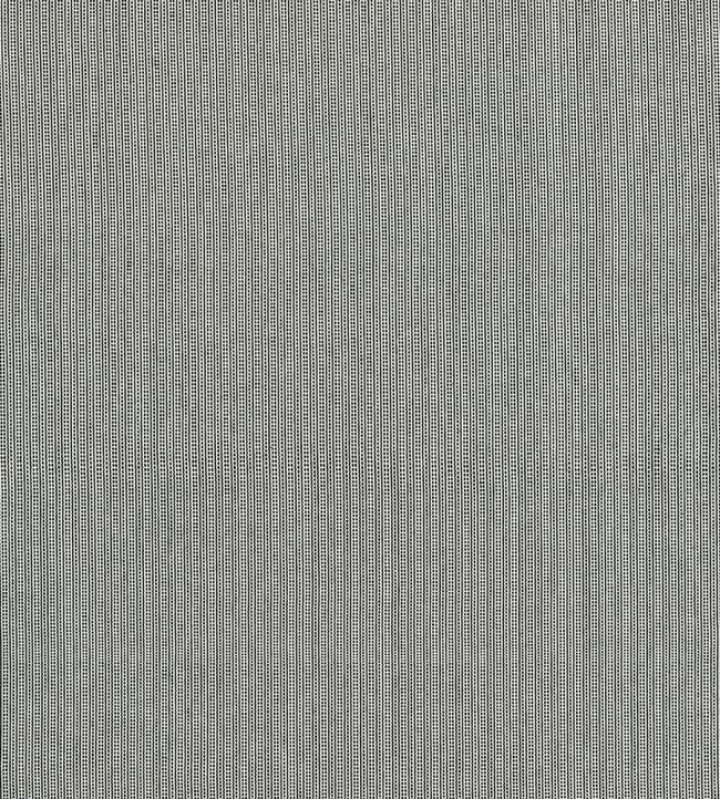 Spencer Fabric by Clarke & Clarke Ebony