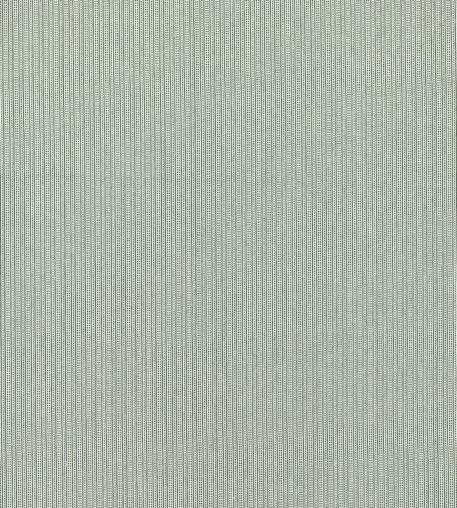 Spencer Fabric by Clarke & Clarke Racing Green