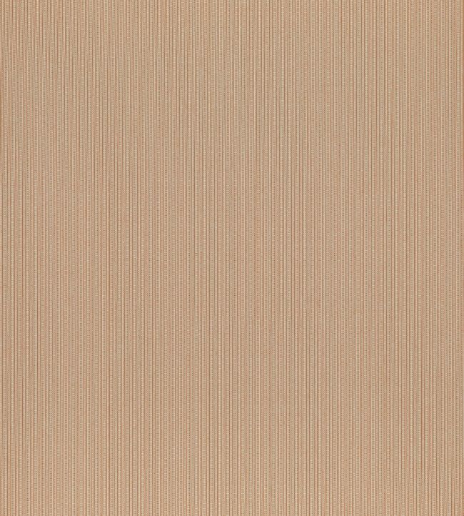 Spencer Fabric by Clarke & Clarke Spice