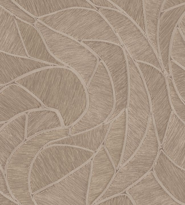 Spiral Wallpaper by Arte Taupe