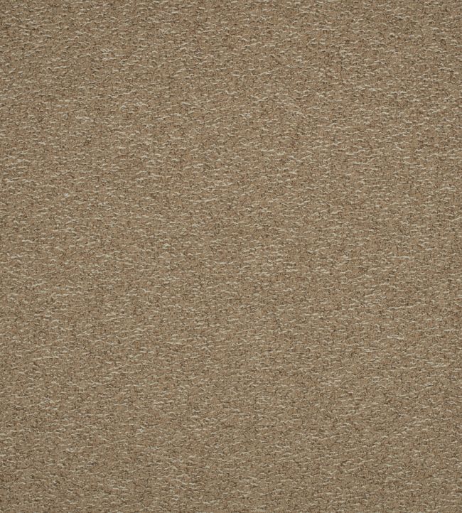 Spiral Fabric by Kirkby Design Havana