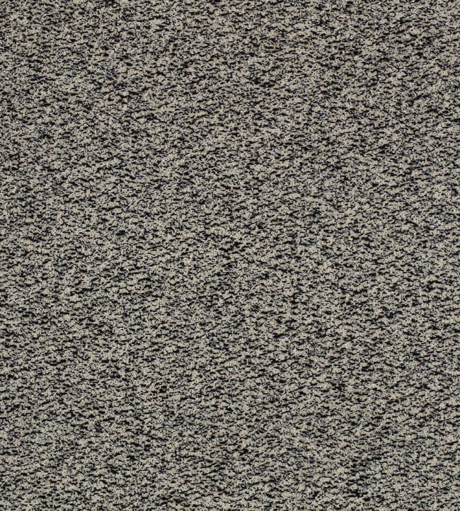 Spiral Fabric by Kirkby Design Noir