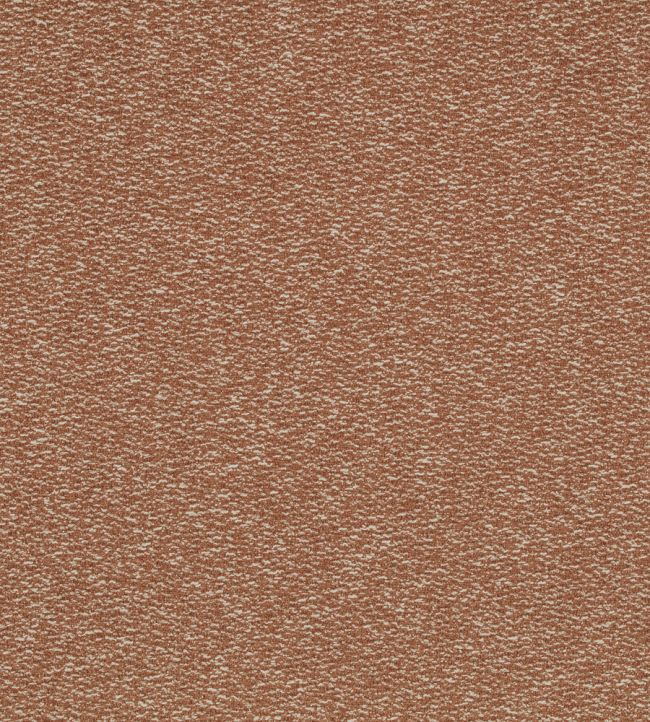Spiral Fabric by Kirkby Design Sienna